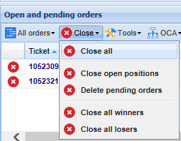 Open and pending order window